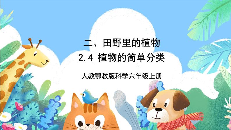 【核心素养新课标】2.4《植物的简单分类》课件+教案+素材01