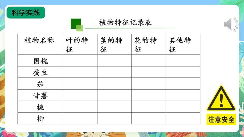 【核心素养新课标】2.4《植物的简单分类》课件+教案+素材06