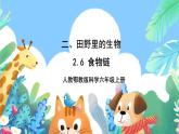 【核心素养新课标】2.6《食物链》课件+教案+素材