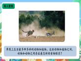 【核心素养新课标】2.6《食物链》课件+教案+素材