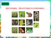 【核心素养新课标】2.6《食物链》课件+教案+素材