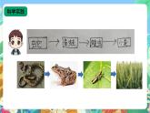【核心素养新课标】2.6《食物链》课件+教案+素材