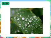 【核心素养新课标】3.9《露和霜》课件+教案+素材