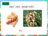 【核心素养新课标】1.1 《多种多样的食物》课件+教案+素材
