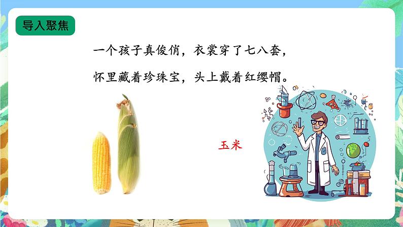 【核心素养新课标】1.1 《多种多样的食物》课件+教案+素材05