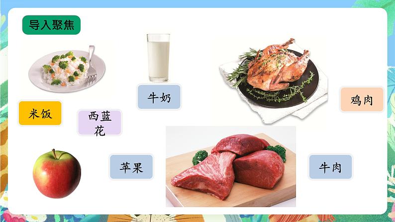 【核心素养新课标】1.1 《多种多样的食物》课件+教案+素材07