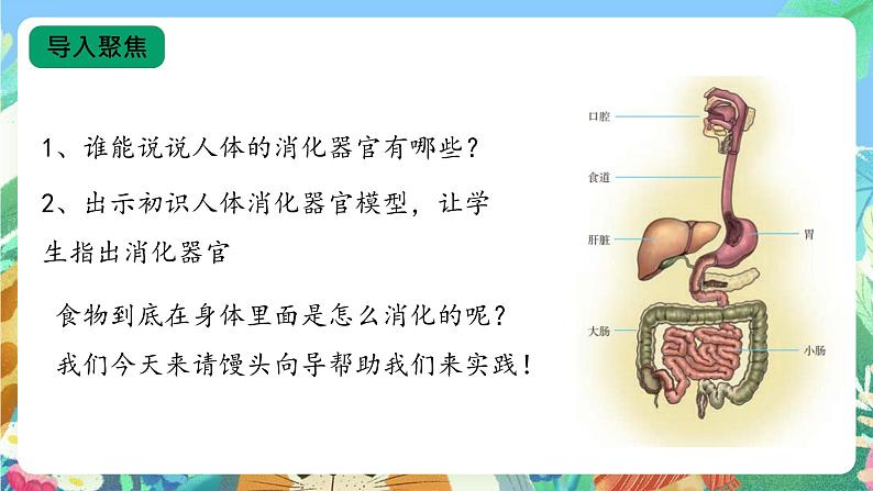 【核心素养新课标】1.3《食物的消化》课件+教案+素材04