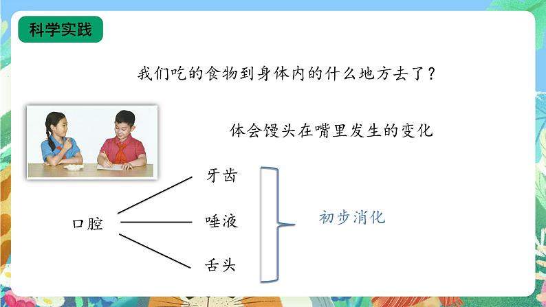 【核心素养新课标】1.3《食物的消化》课件+教案+素材08