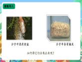 【核心素养新课标】2.7《把它们分离》课件+教案+素材