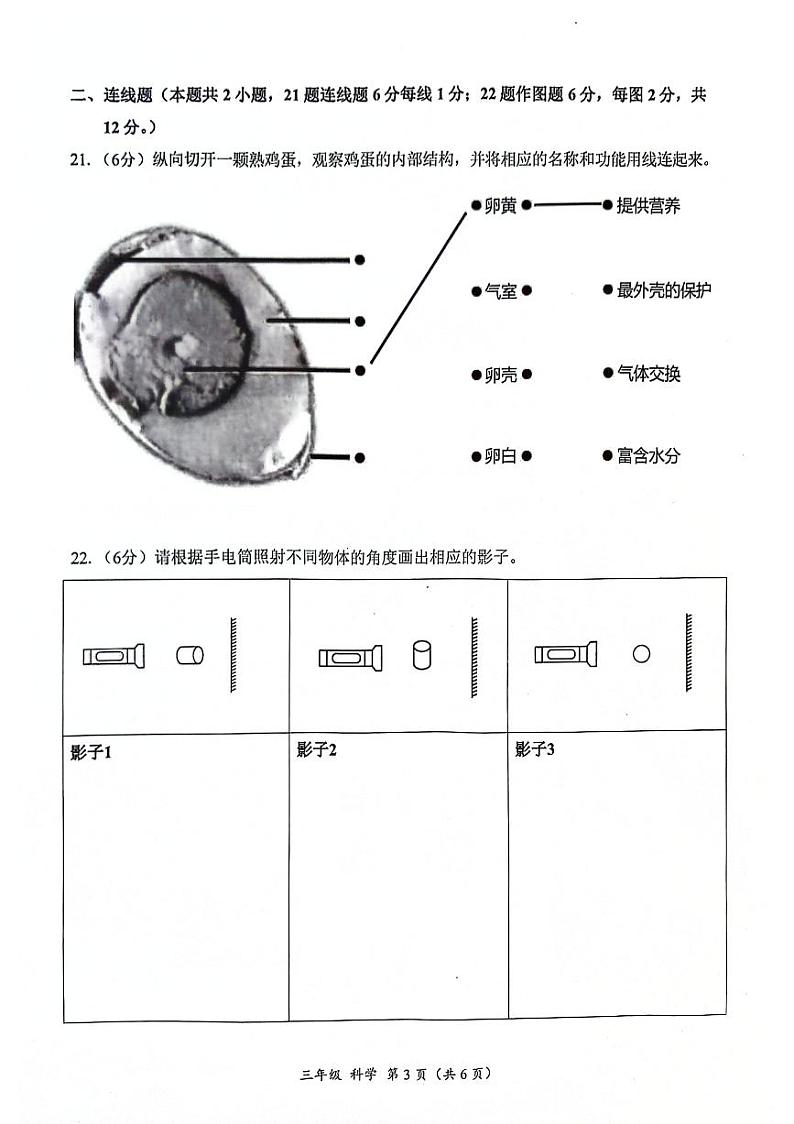 广东省深圳市罗湖区2023-2024学年三年级下学期7月期末科学试题第3页