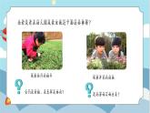苏教版小学科学一年级上册1.1 小小科学家 课件+视频素材