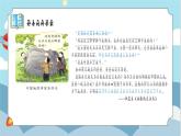苏教版小学科学一年级上册1.1 小小科学家 课件+视频素材