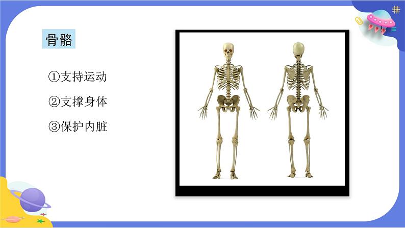 【核心素养】教科版科学五上4.2《身体的运动》课件+教案（含反思）06