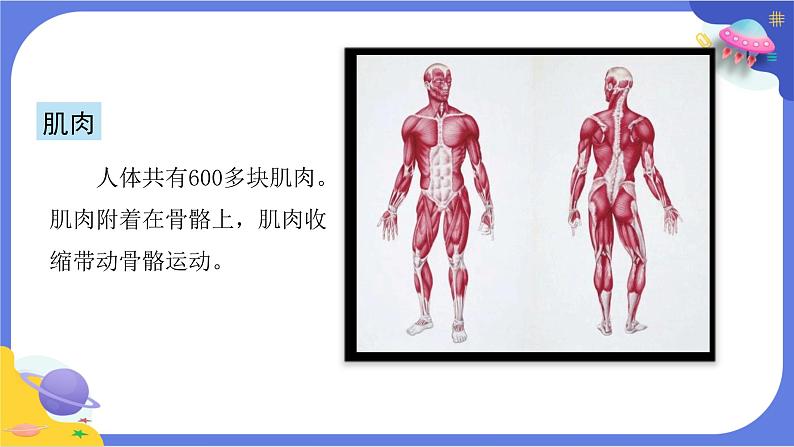 【核心素养】教科版科学五上4.2《身体的运动》课件+教案（含反思）08