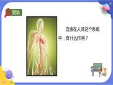 【核心素養(yǎng)】教科版科學五上4.3《心臟和血液》課件+教案（含反思）