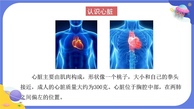 【核心素养】教科版科学五上4.3《心脏和血液》课件+教案（含反思）07