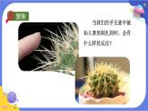【核心素养】教科版科学五上4.5《身体的“联络员”》课件+教案（含反思）