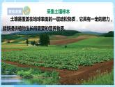 【蘇教版】三上科學(xué)  2.4土壤的成分（課件+教案+素材）