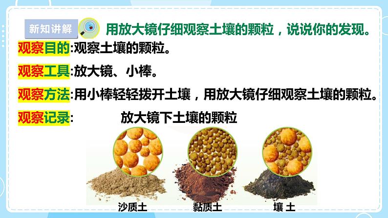 【苏教版】三上科学  2.5土壤的类型（课件+教案+素材）03