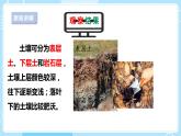 【苏教版】三上科学  2.6肥沃的土壤（课件+教案+素材）