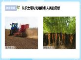 【苏教版】三上科学  2.7保护土壤（课件+教案+素材）