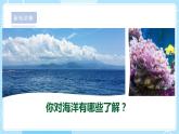 【苏教版】三上科学  4.14 海洋 课件（课件+教案+素材）