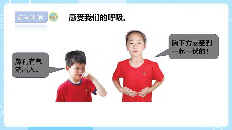 【苏教版】三上科学  5.16 人的呼吸（课件+教案+素材）03