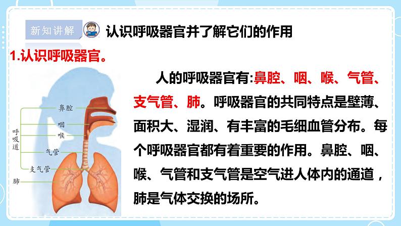 【苏教版】三上科学  5.16 人的呼吸（课件+教案+素材）08