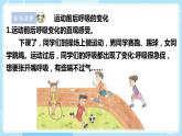 【苏教版】三上科学  5.17运动和呼吸（课件+教案+素材）