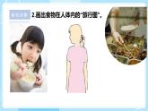 【苏教版】三上科学  5.18食物的旅行（课件+教案+素材）