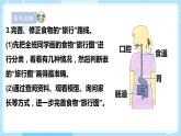【苏教版】三上科学  5.18食物的旅行（课件+教案+素材）