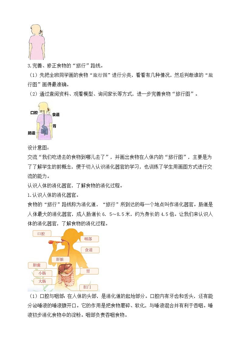 【苏教版】三上科学  5.18食物的旅行（课件+教案+素材）02