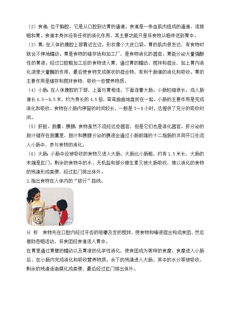 【苏教版】三上科学  5.18食物的旅行（课件+教案+素材）03