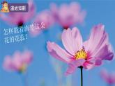 教科版科学六年级上册 第一单元1 放大镜 PPT课件