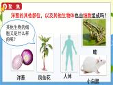 教科版科学六年级上册 第一单元5 观察更多的生物细胞 PPT课件