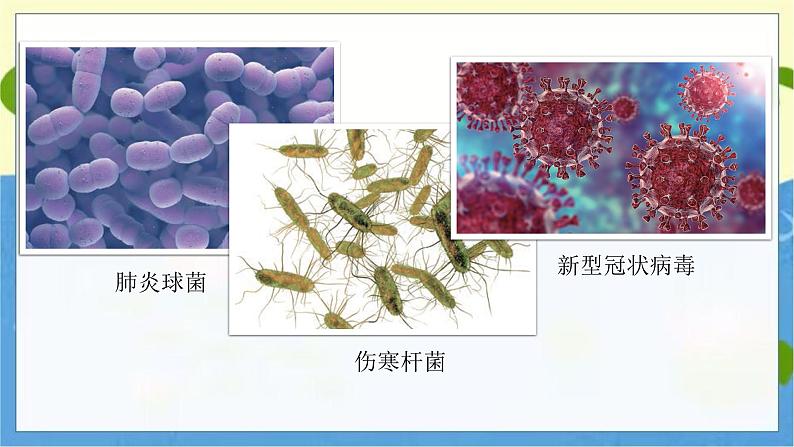 教科版科学六年级上册 第一单元7 微生物与健康 PPT课件04