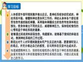 教科版科学5年级上册 第4单元5 身体的“联络员” PPT课件
