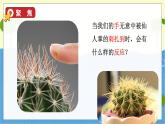 教科版科学5年级上册 第4单元5 身体的“联络员” PPT课件