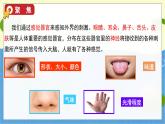教科版科学5年级上册 第4单元5 身体的“联络员” PPT课件