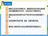 教科版科学5年级上册 第1单元5 认识棱镜 PPT课件