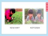 （2024新課標(biāo)）蘇教版科學(xué)一年級(jí)上冊(cè)-1 小小科學(xué)家-PPT課件+視頻圖片素材