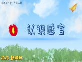 （2024新课标）苏教版科学一年级上册-4 认识感官-PPT课件+视频图片素材