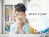 （2024新课标）苏教版科学一年级上册-4 认识感官-PPT课件+视频图片素材