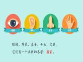 （2024新课标）苏教版科学一年级上册-4 认识感官-PPT课件+视频图片素材