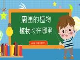 【核心素养】教科版小学科学一年级上册     3.植物长在哪里    课件ppt+ 教案