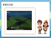 【核心素养】教科版小学科学一年级上册     3.植物长在哪里    课件ppt+ 教案