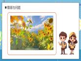 【核心素养】教科版小学科学一年级上册     4.给植物画张“像”   课件ppt+ 教案