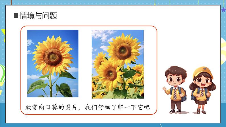 【核心素养】教科版小学科学一年级上册     4.给植物画张“像”   课件ppt+ 教案06