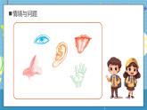 【核心素养】教科版小学科学一年级上册     5.通过感官来发现   课件ppt+ 教案