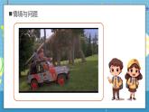【核心素养】教科版小学科学一年级上册     6.观察与比较   课件ppt+ 教案